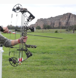 compound bow