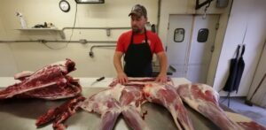 Processing the deer meat