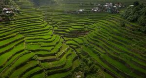 Rice-Terraces-in-banawe