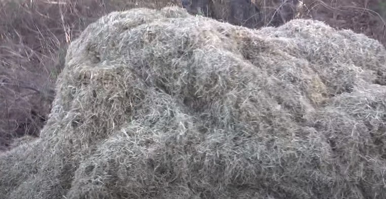 Thatch can be used as fertilizer