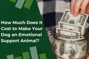 How Much Does It Cost to Make Your Dog an Emotional Support Animal