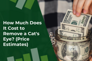 How Much Does It Cost to Remove a Cat's Eye (Price Estimates)