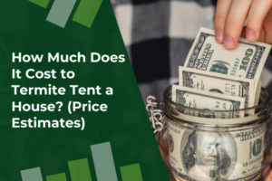 How Much Does It Cost to Termite Tent a House (Price Estimates)