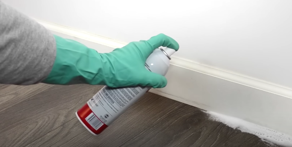 spraying to kill bed bugs